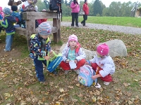 14_muchom_ms_69