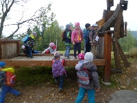 14_muchom_ms_71