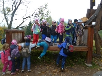 14_muchom_ms_72