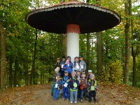14_muchom_ms_79