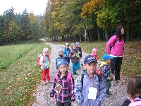 14_muchom_ms_85