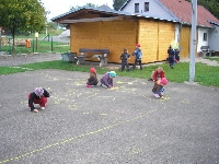 14_ovoc_tyd_ms_21