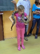 14_hadi_29
