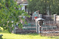 14_vyl_9_borova_13