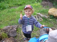 12_poh_cesta_12