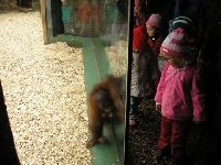 13_zoo_ms_04